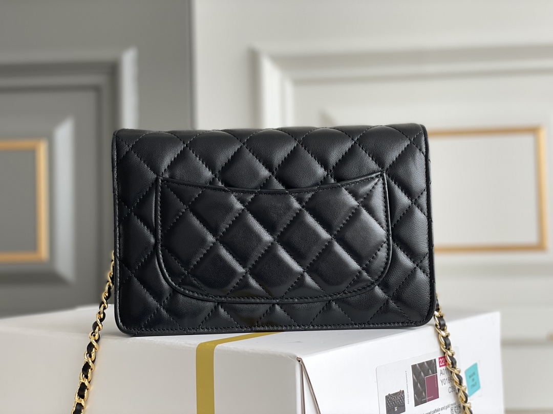 Chanel WOC Bags